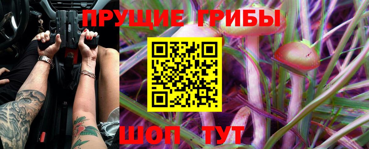 Краснокаменск  Псилоцибиновые грибы Magic Shrooms  Вход с VPN  магазин  наркотиков  Псилоцибиновые грибы Psilocybine cubensis 